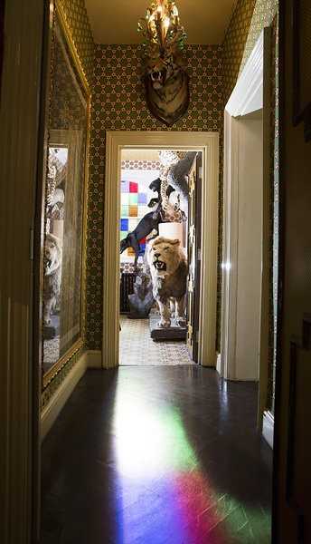 The Cat Room