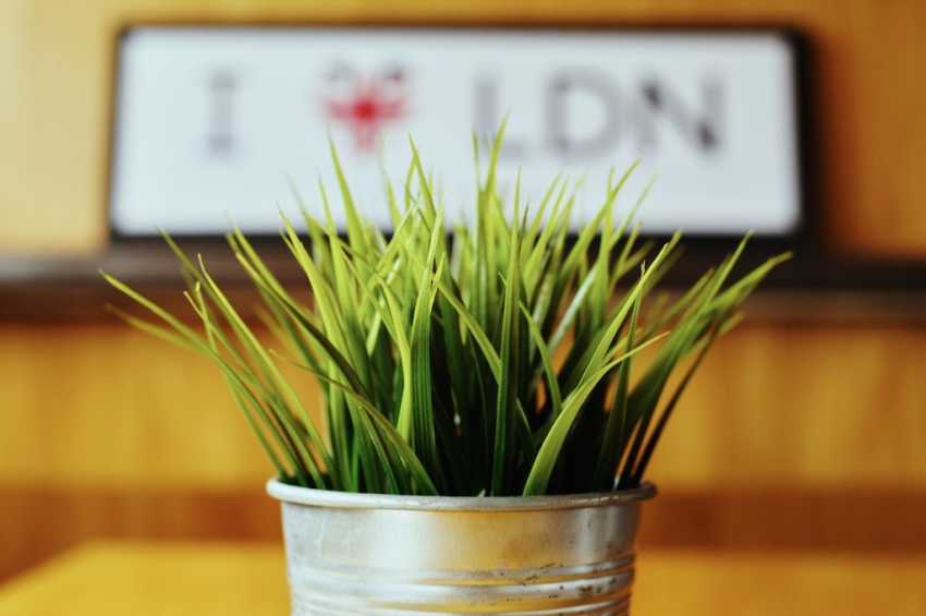 Conference venues in London: MV Royalty