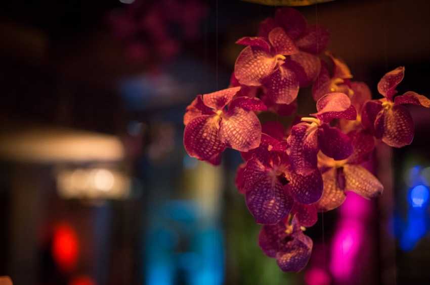 Party venues in London: Momo Restaurant