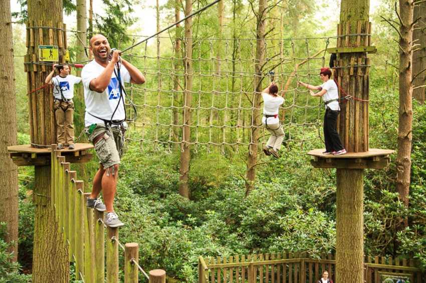Party venues in London: Go Ape Battersea Park