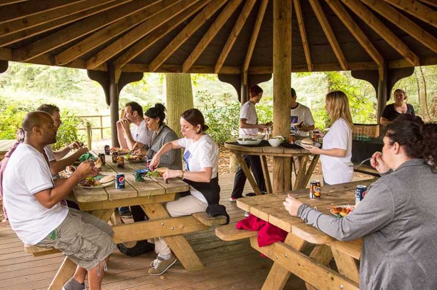 Party venues in London: Go Ape Battersea Park