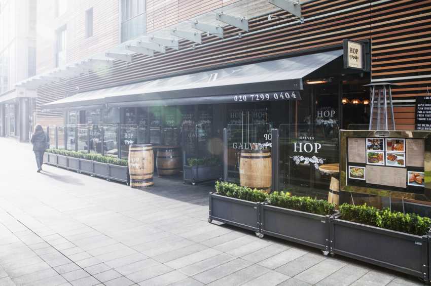 Galvin Hop