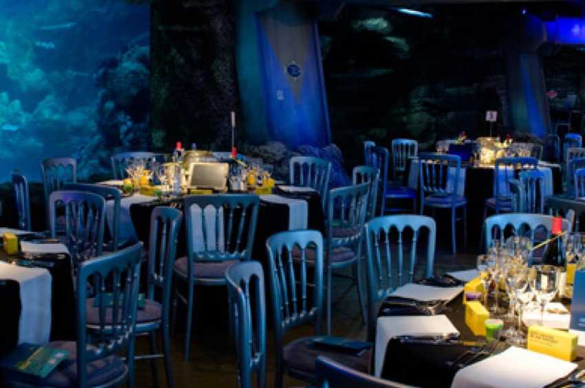 Conference venues in London: SEALIFE London Aquarium
