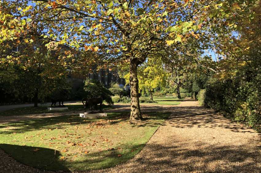Party venues in London: Montague Street Garden