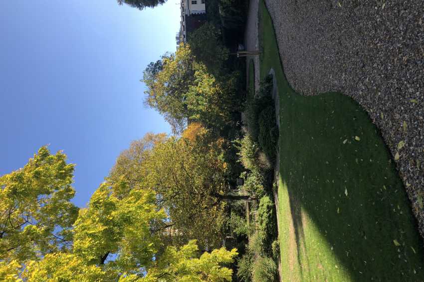 Party venues in London: Montague Street Garden