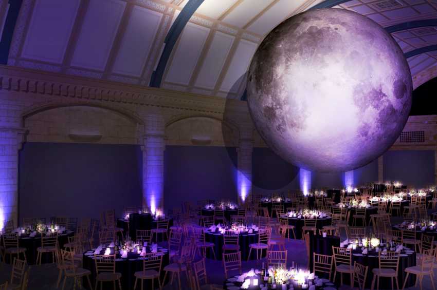 The Natural History Museum