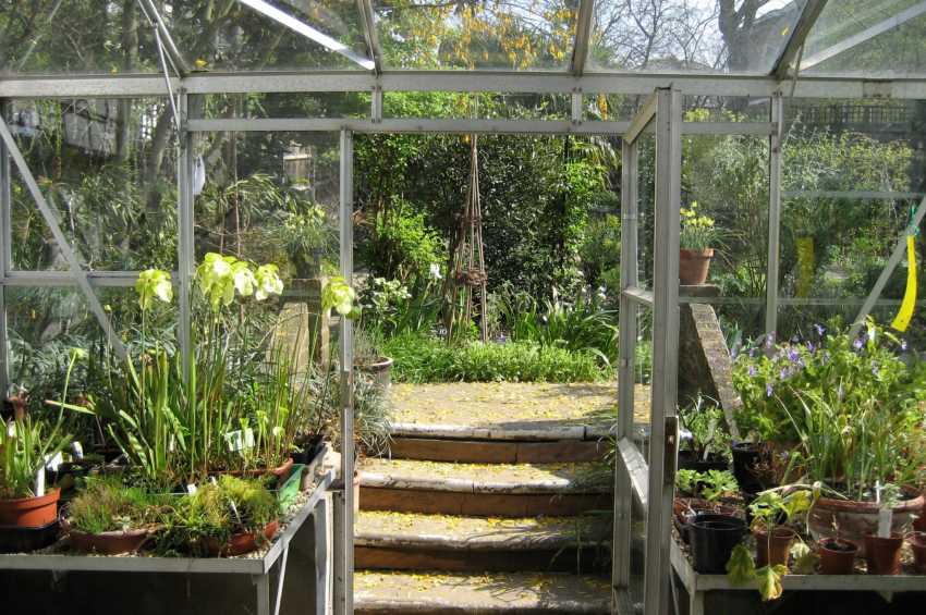 Conference venues in London: The South London Botanical Institute