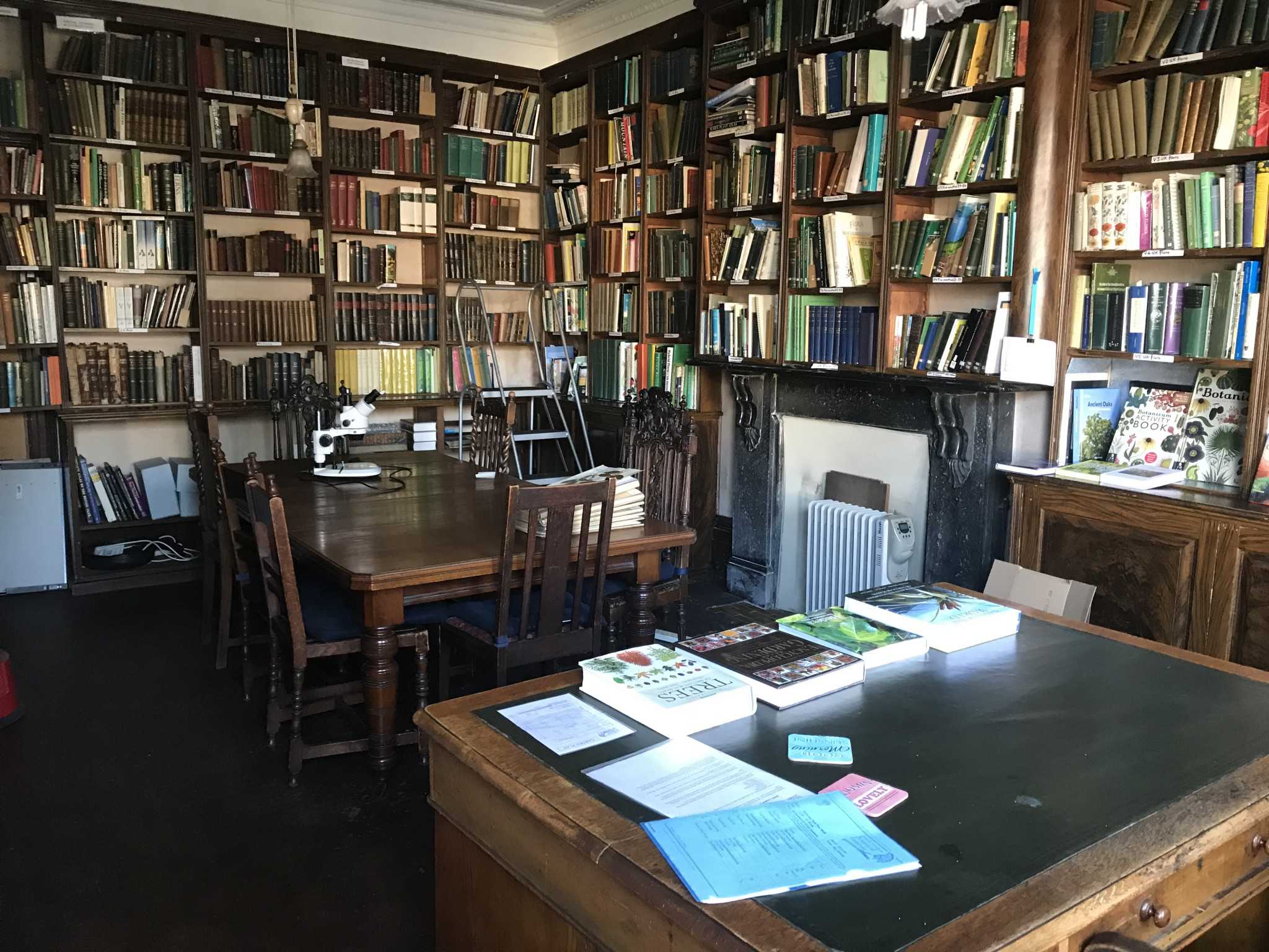 Library