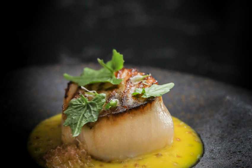 Lucky Cat by Gordon Ramsay