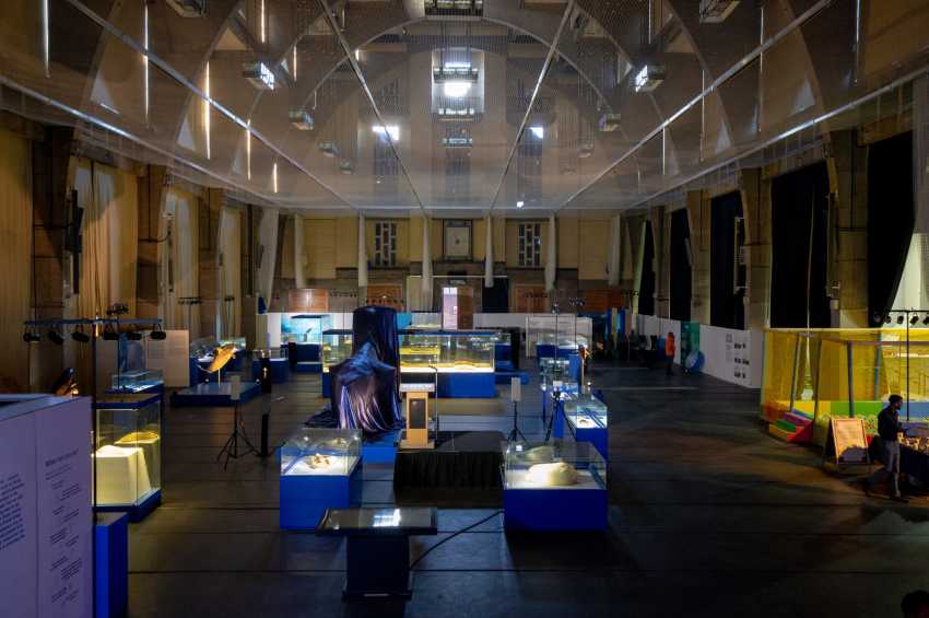 Royal Horticultural Halls