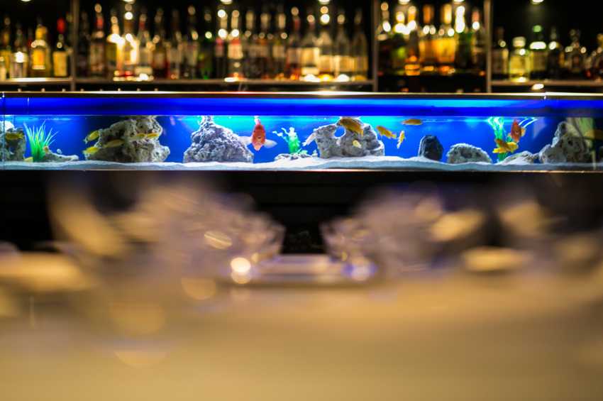 Party venues in London: Yauatcha Soho