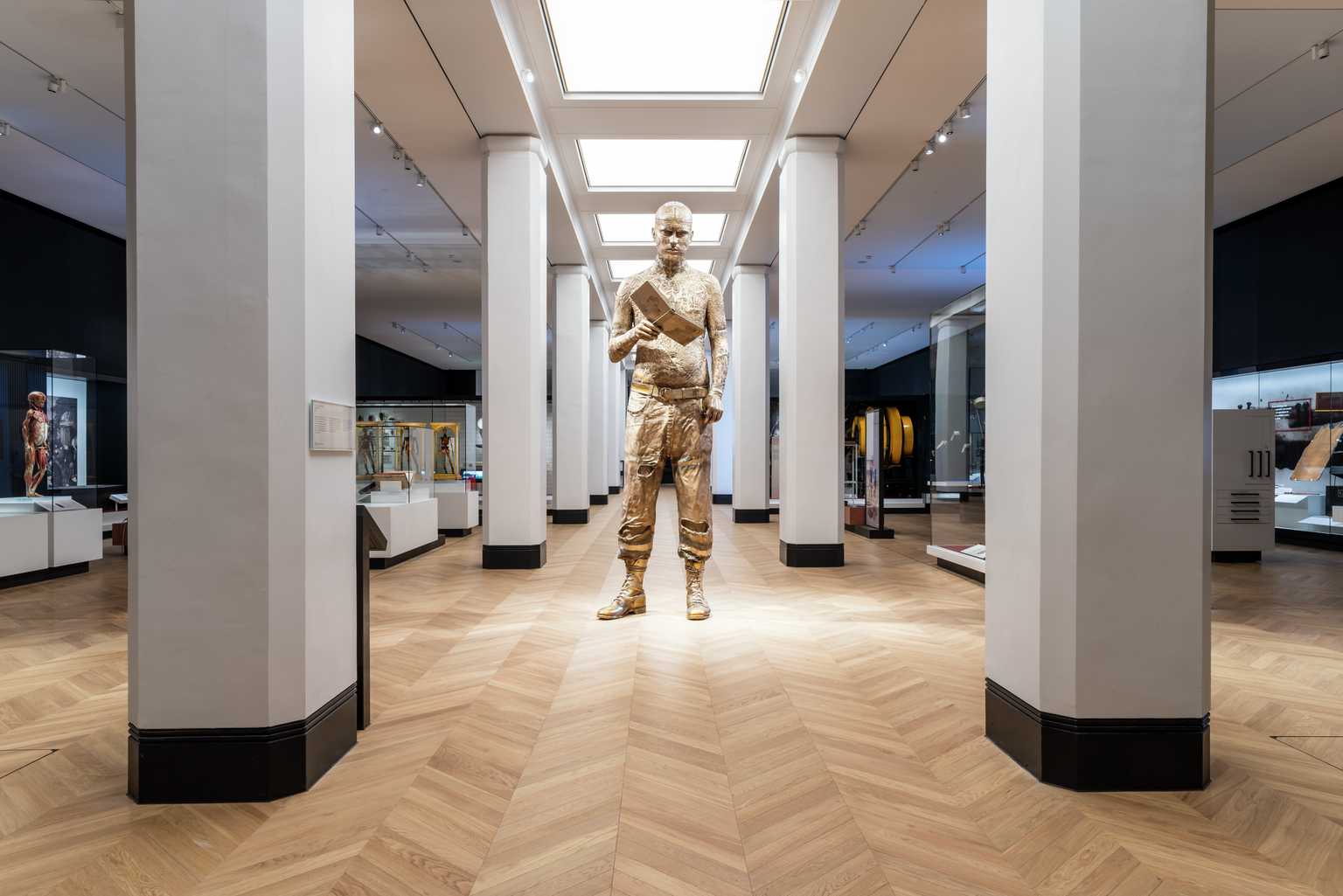 Medicine: The Wellcome Galleries 