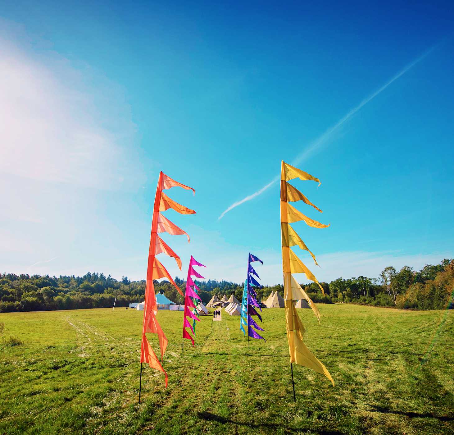 The Meadow