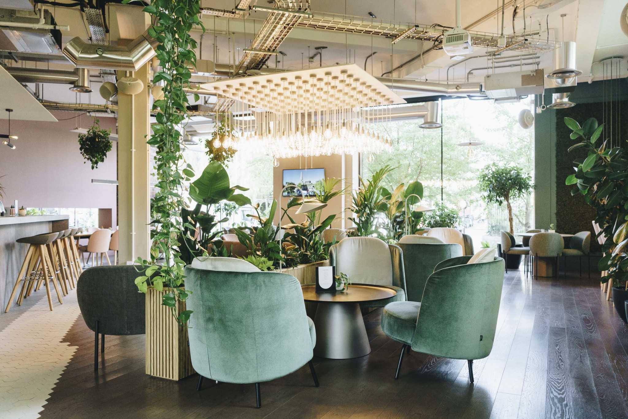 Cafe/Lounge