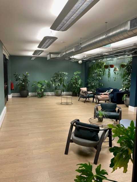 Zen Studio & Patio