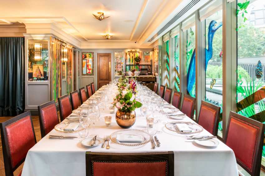 The Ivy City Garden