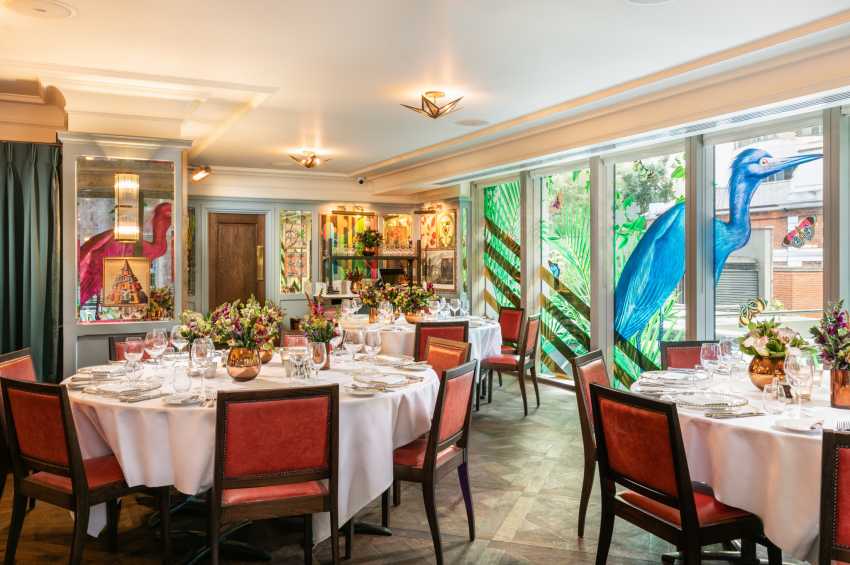 The Ivy City Garden