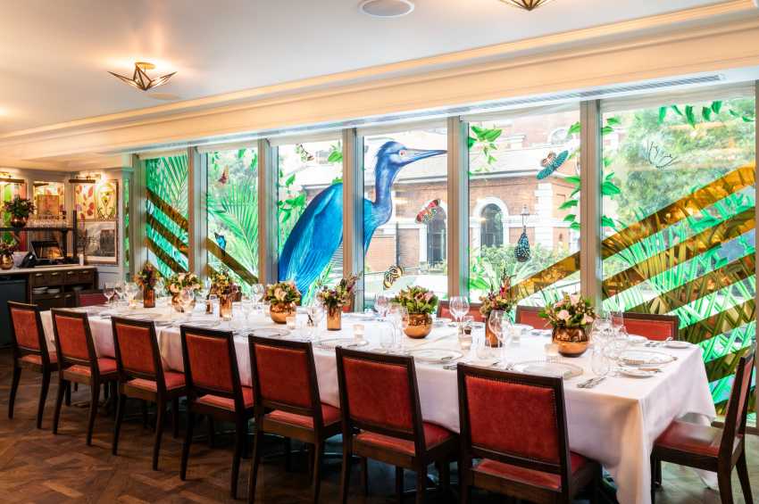 The Ivy City Garden