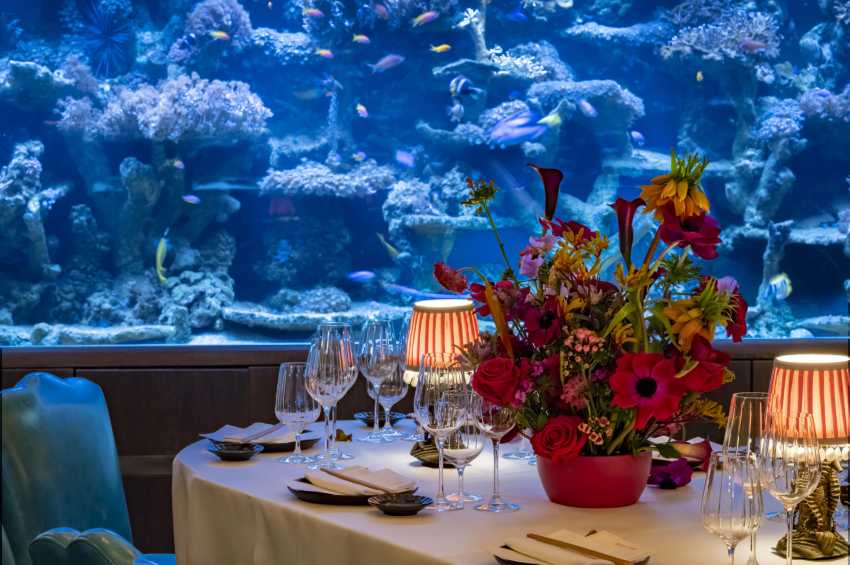 The Coral Reef Room at Sexy Fish