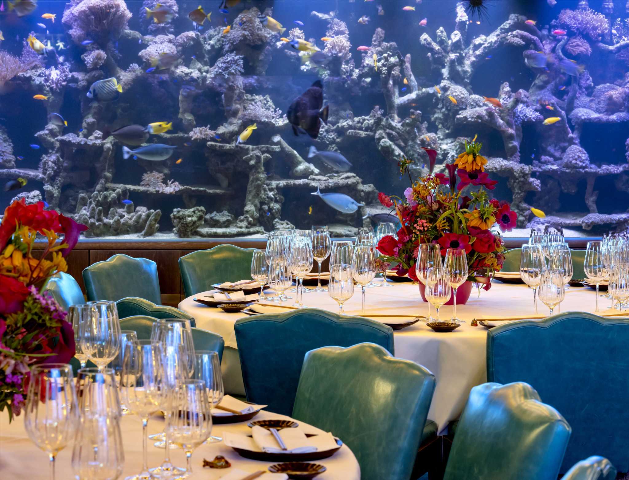 The Coral Reef Room