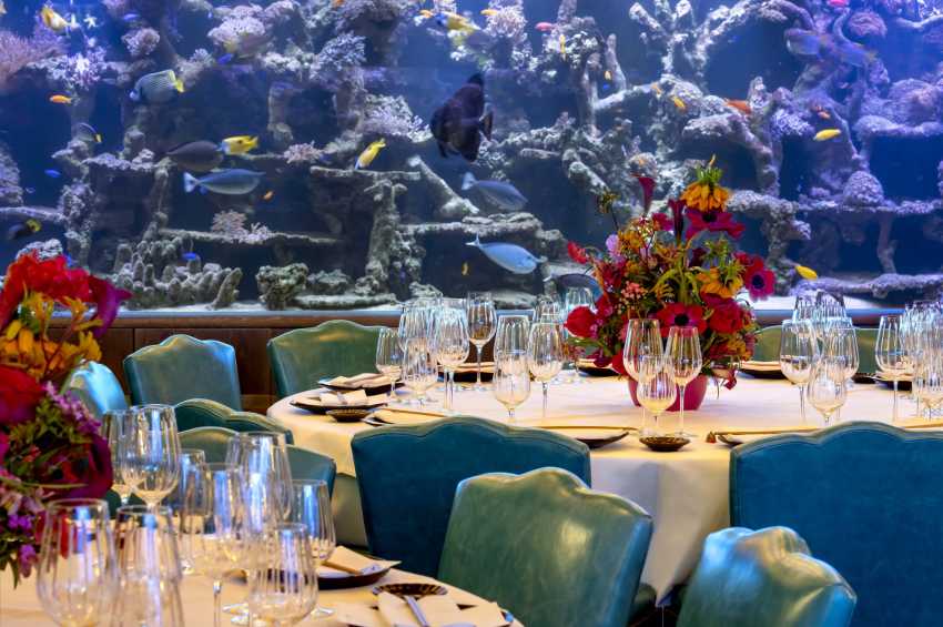 The Coral Reef Room at Sexy Fish