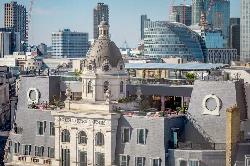 Wagtail - Rooftop Bar & Restaurant 