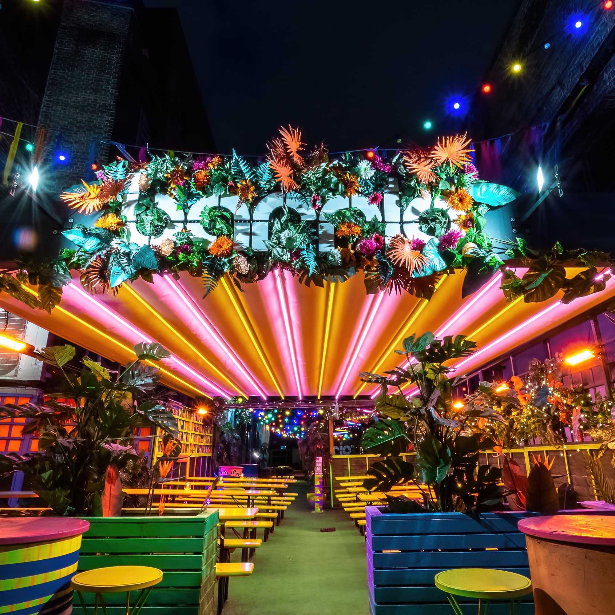 Neon Den 