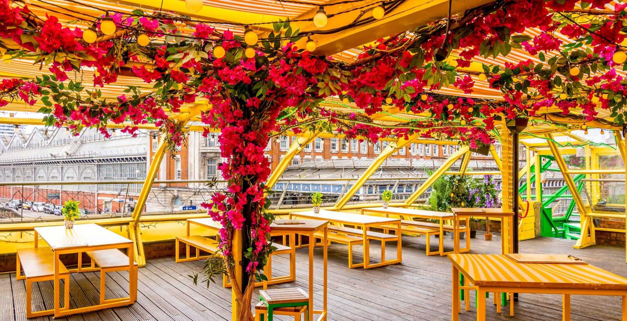 The Terrace 