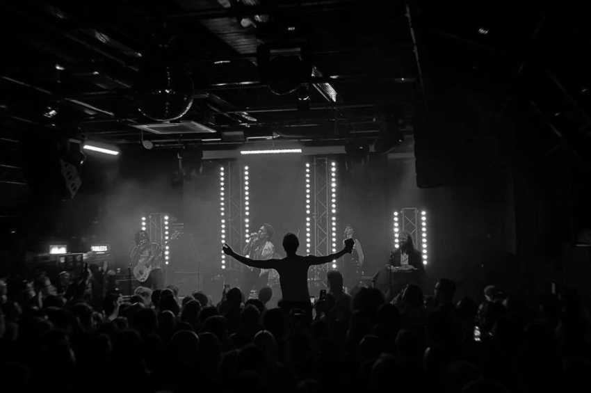 Gorilla Manchester
