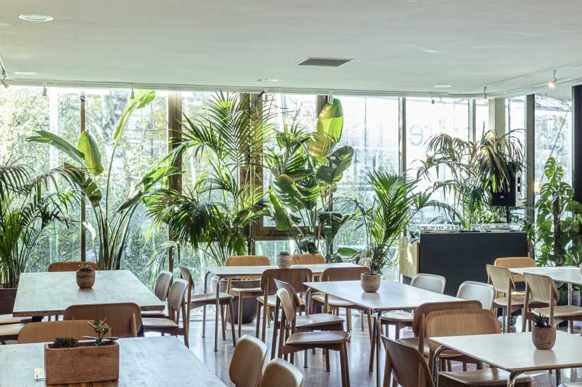 Camden Art Centre