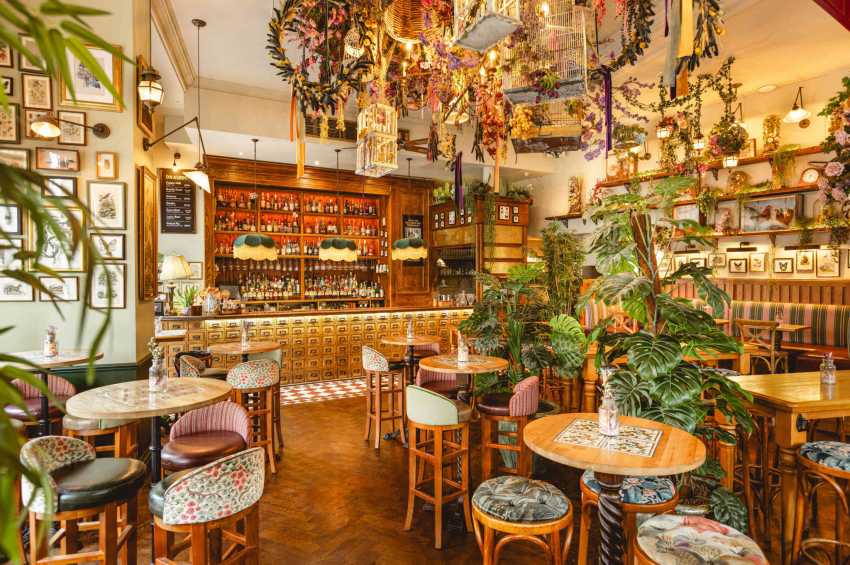 Mr Fogg's Botanical Tavern