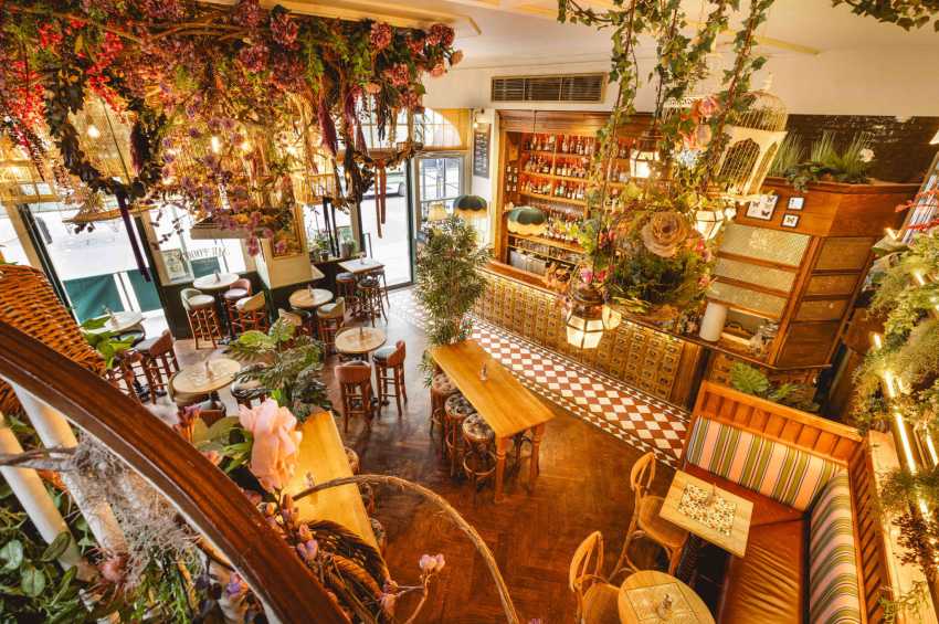 Mr Fogg's Botanical Tavern