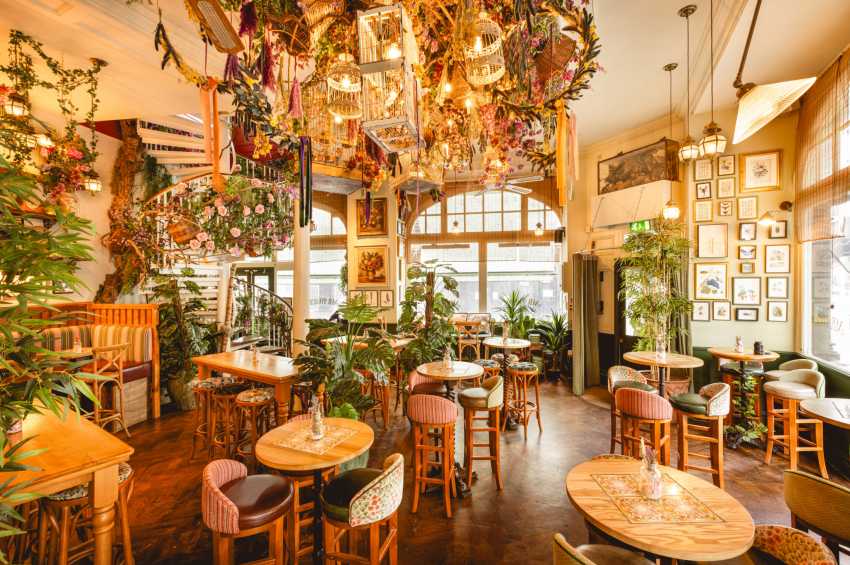 Mr Fogg's Botanical Tavern