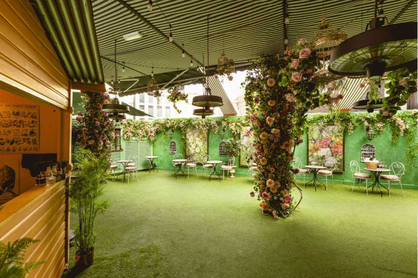 Mr Fogg's Secret Garden