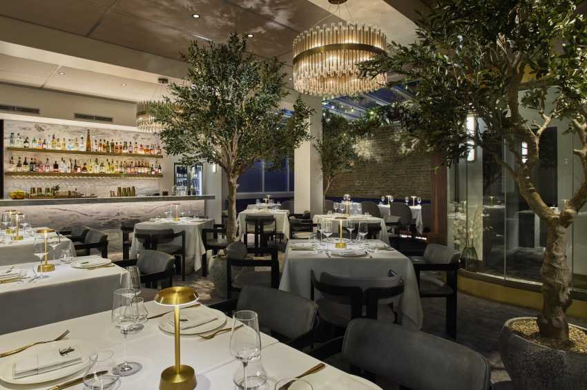 Sparrow Italia Mayfair