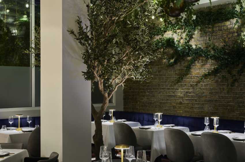 Sparrow Italia Mayfair