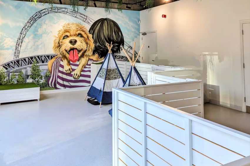 The Cuddle Club – Wembley