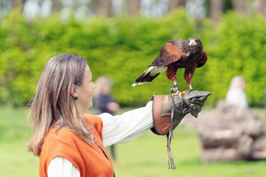 Leeds Castle