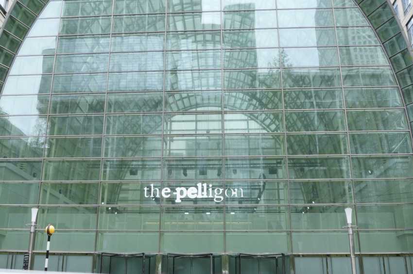 The Pelligon