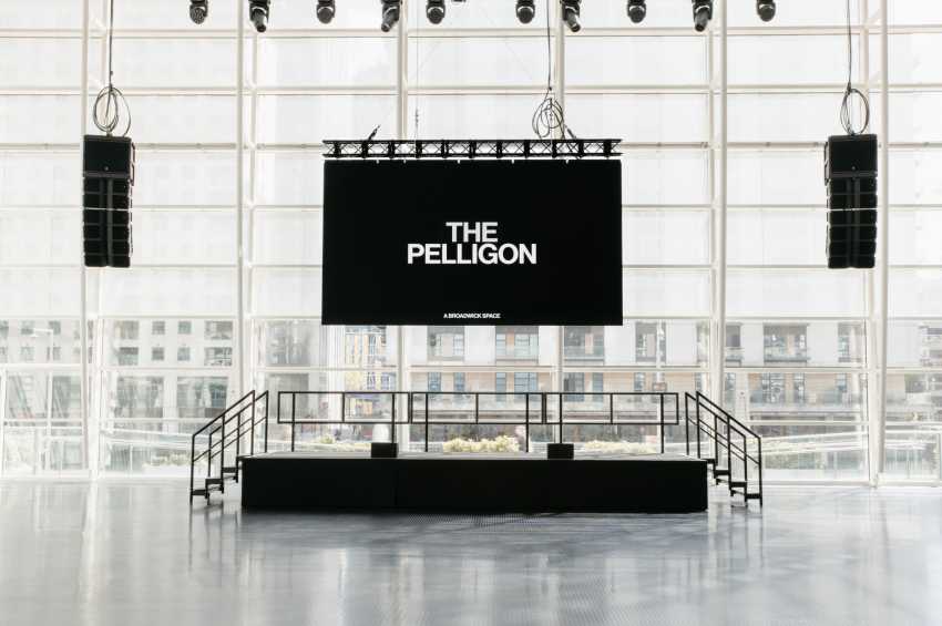 The Pelligon