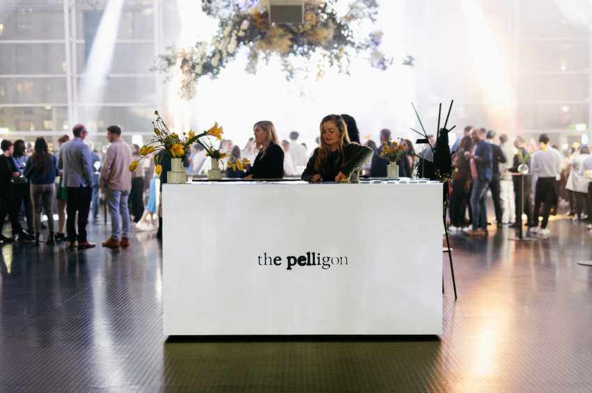 The Pelligon