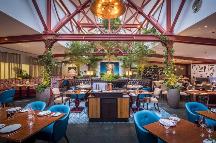 Bluebird Chelsea