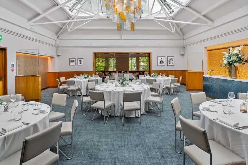 Bluebird Chelsea