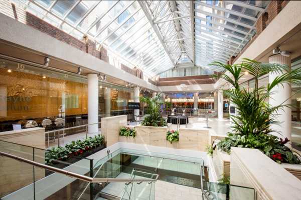 1 Wimpole Street