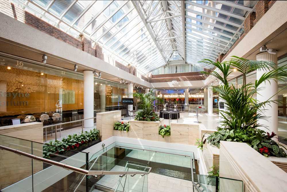 Max Rayne Atrium