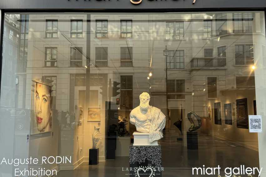 Miart Gallery 