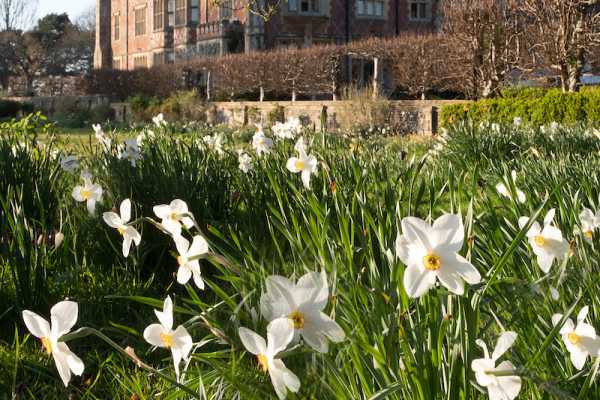 Horsted Place Hotel 