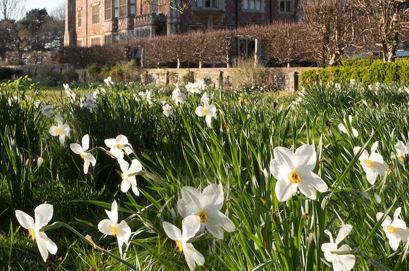Horsted Place Hotel 