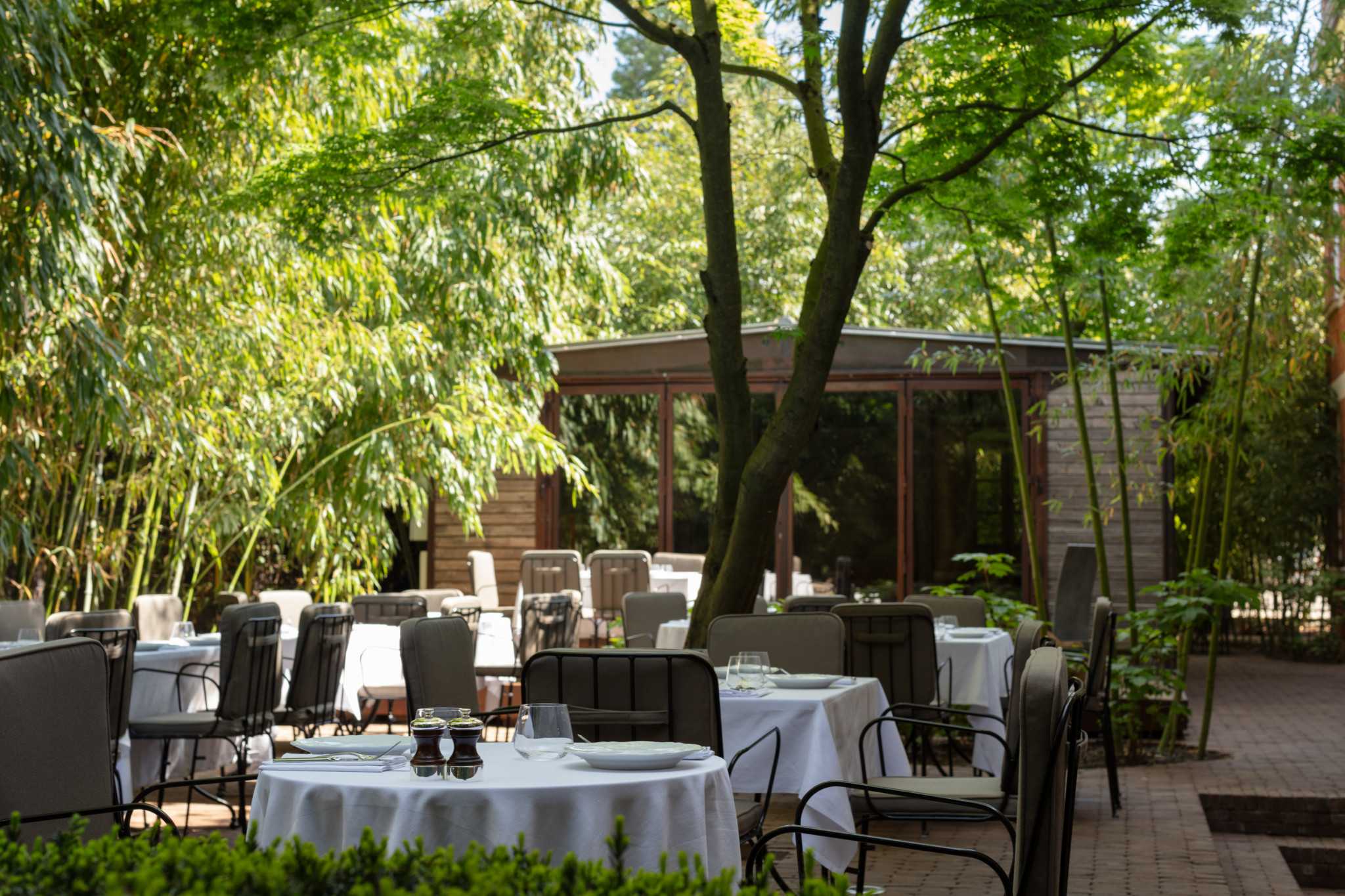 The Garden 