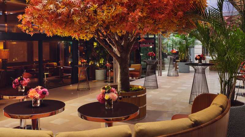 The Courtyard